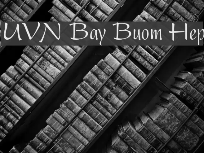 UVN Bay Buom Hep Font examples