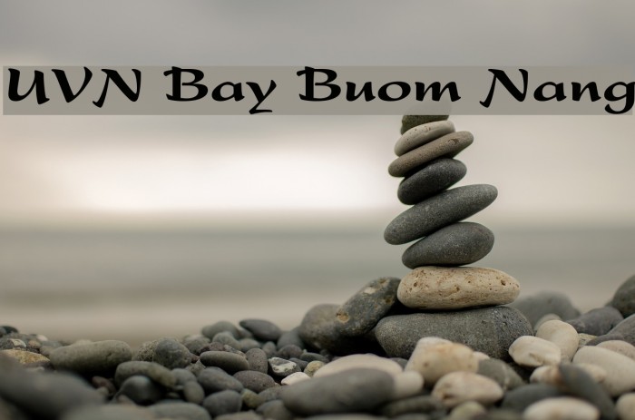 UVN Bay Buom Nang Font examples