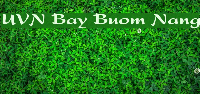UVN Bay Buom Nang Font examples