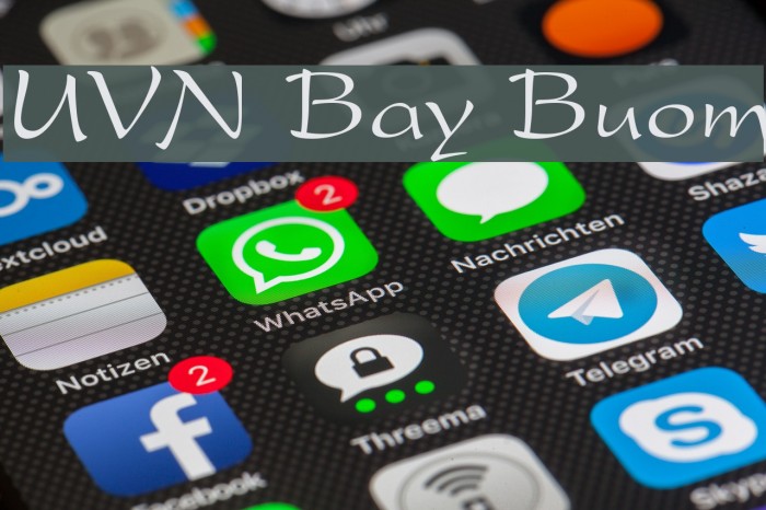 UVN Bay Buom Font examples