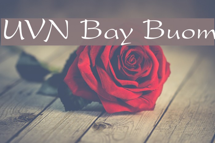 UVN Bay Buom Font examples