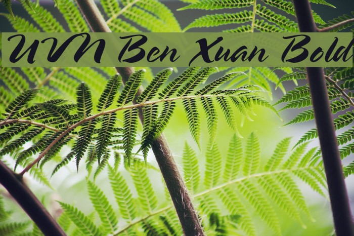 UVN Ben Xuan Bold Font examples
