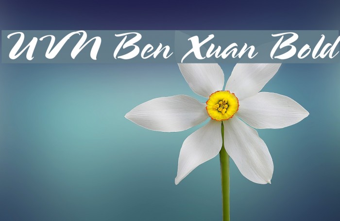UVN Ben Xuan Bold Font examples