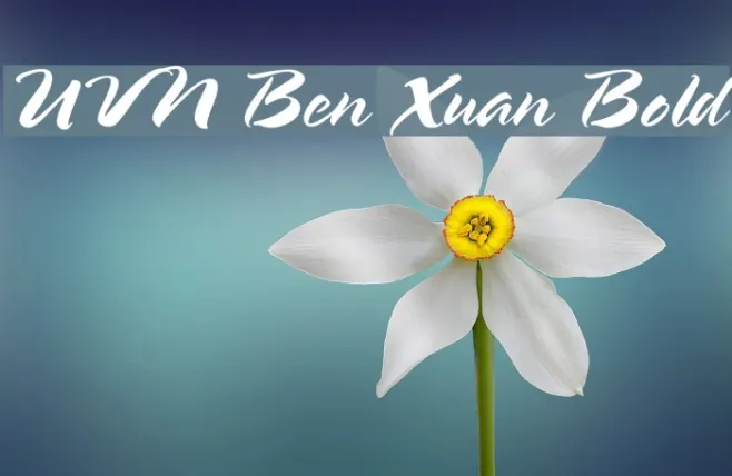 UVN Ben Xuan Bold Example 3