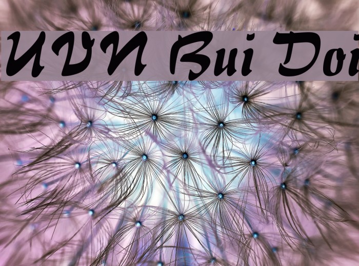 UVN Bui Doi Font examples