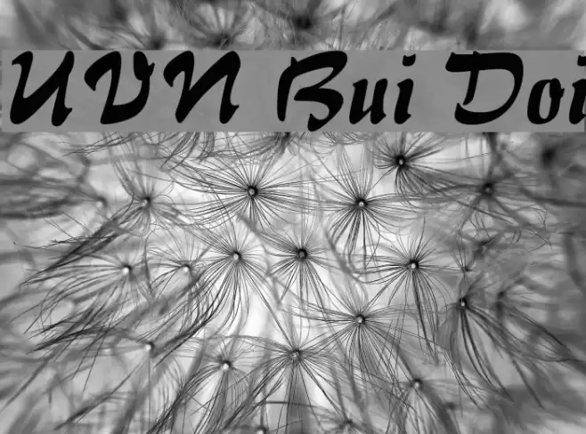 UVN Bui Doi Font examples