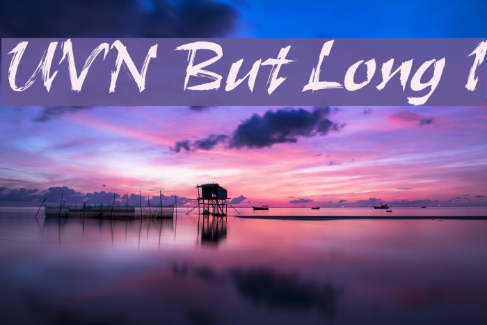 UVN But Long 1 Font examples