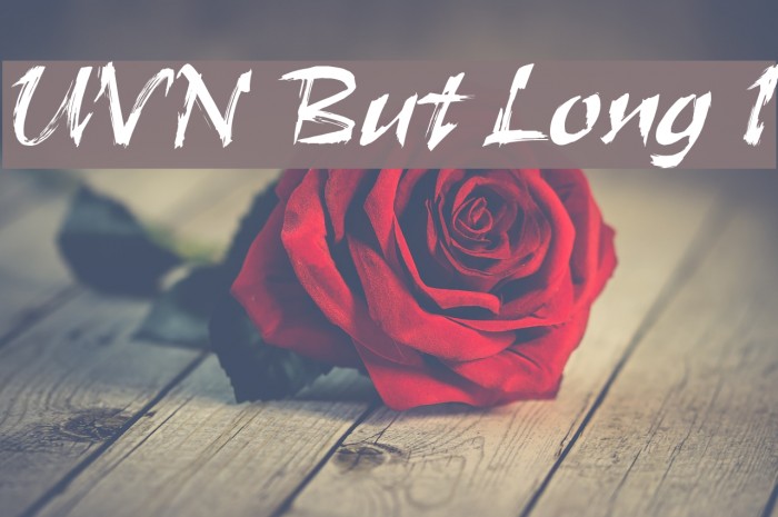UVN But Long 1 Font examples