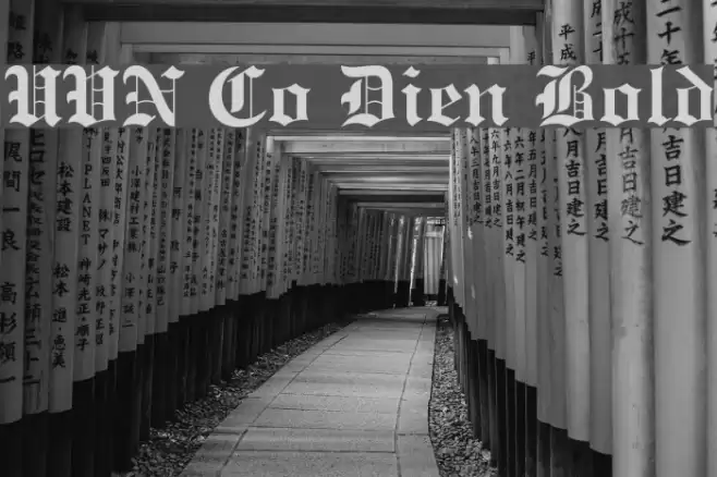 UVN Co Dien Bold Font examples