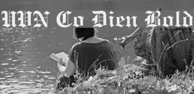 UVN Co Dien Bold Font examples