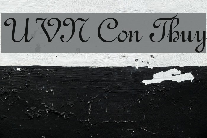UVN Con Thuy Font examples