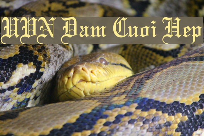 UVN Dam Cuoi Hep Font examples