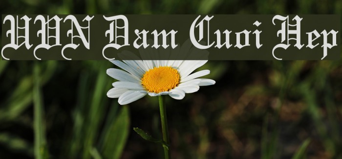 UVN Dam Cuoi Hep Font examples