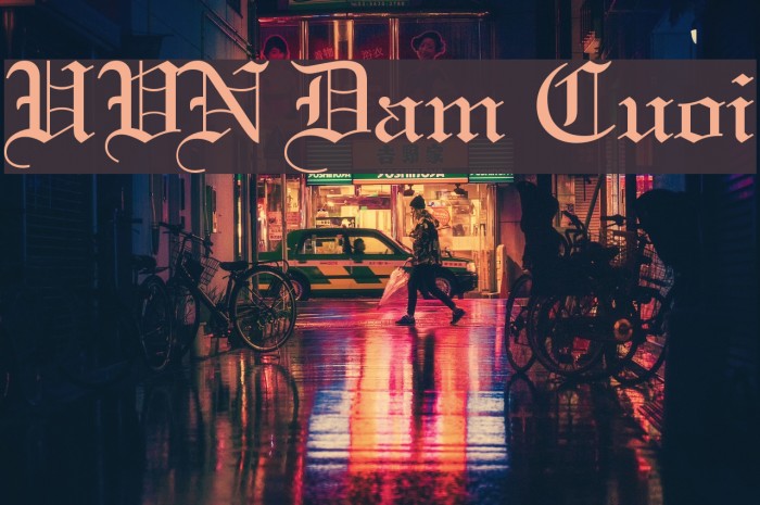 UVN Dam Cuoi Font examples
