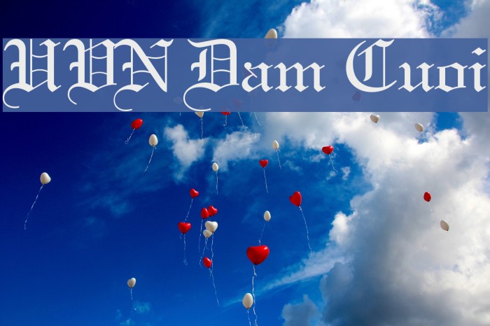 UVN Dam Cuoi Font examples
