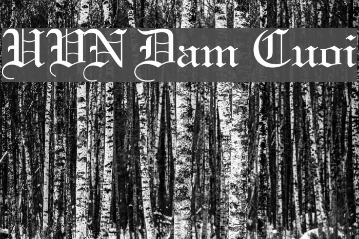 UVN Dam Cuoi Font examples