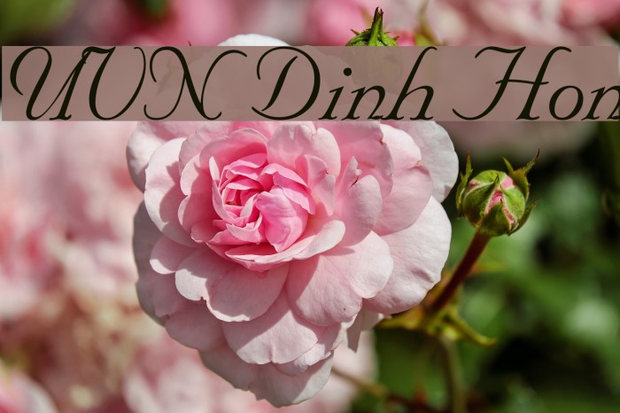 UVN Dinh Hon Example 1