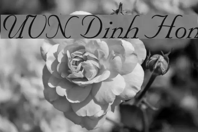 UVN Dinh Hon Font examples