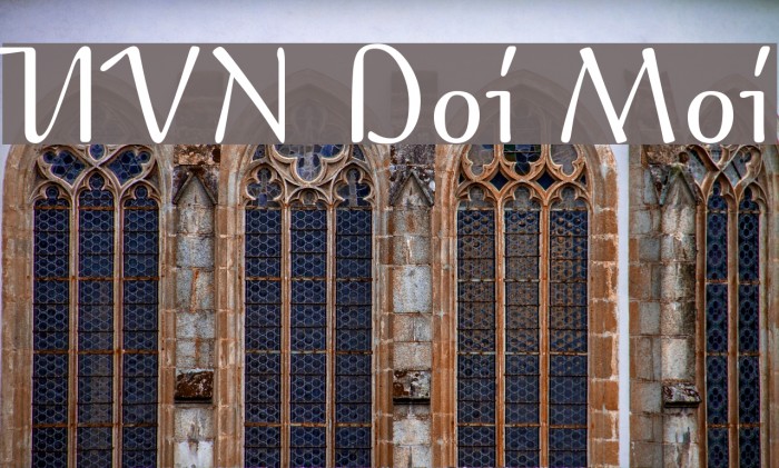 UVN Doi Moi Example 1