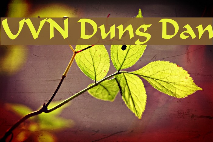 UVN Dung Dan Font examples