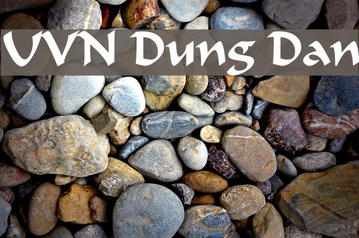 UVN Dung Dan Font examples