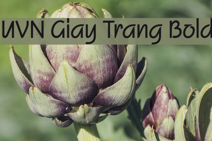 UVN Giay Trang Bold Font examples