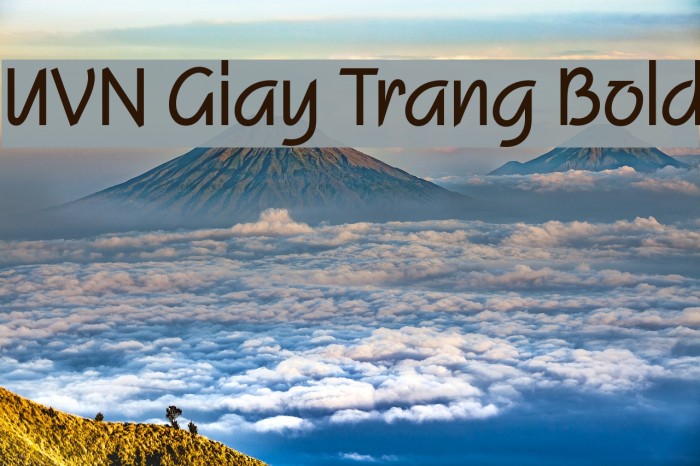 UVN Giay Trang Bold Font examples