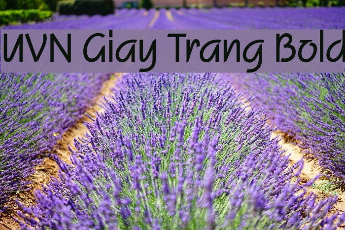 UVN Giay Trang Bold Font examples