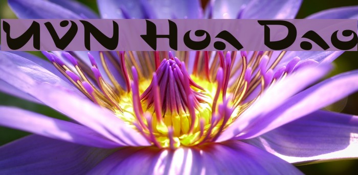 UVN Hoa Dao Font examples