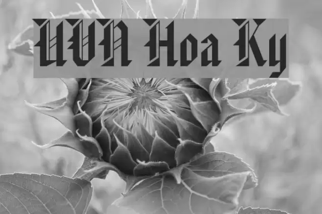 UVN Hoa Ky Font examples