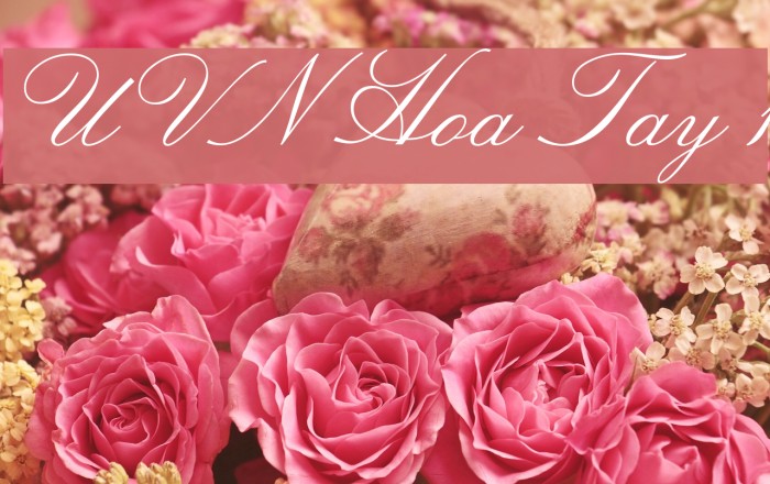 UVN Hoa Tay 1 Font examples