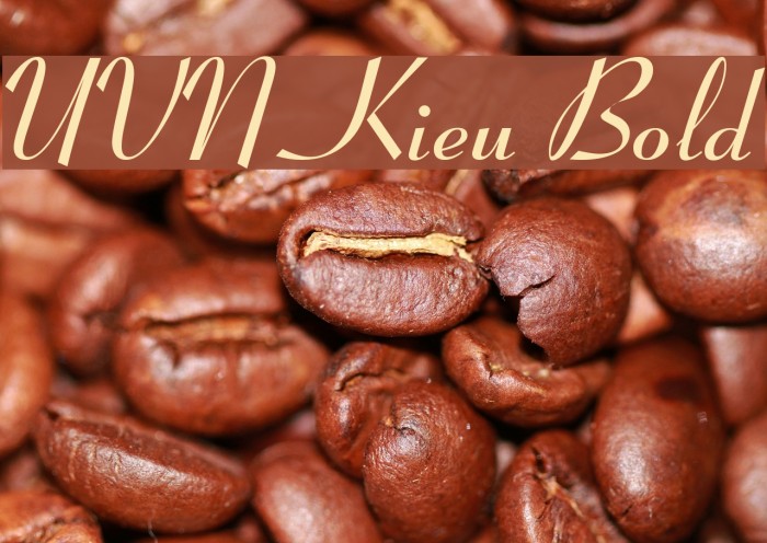 UVN Kieu Bold Font examples