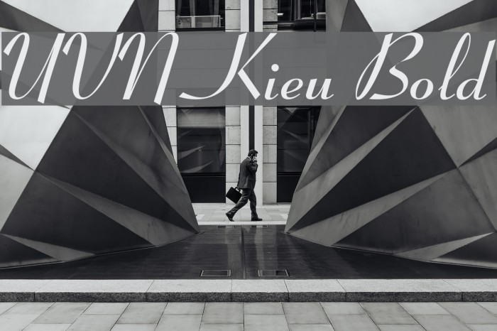 UVN Kieu Bold Font examples