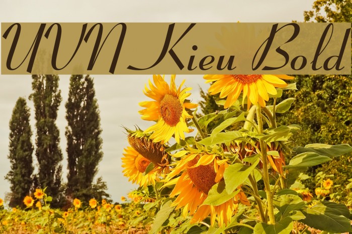 UVN Kieu Bold Font examples