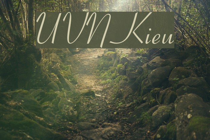 UVN Kieu Font examples