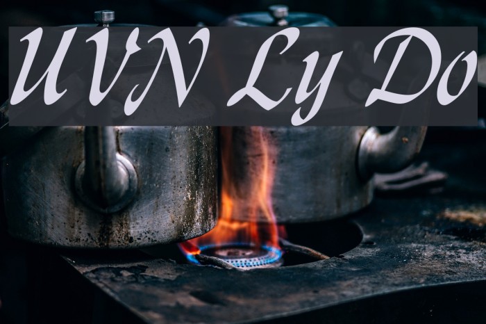 UVN Ly Do Font examples