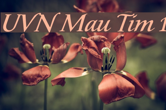 UVN Mau Tim 1 Font examples