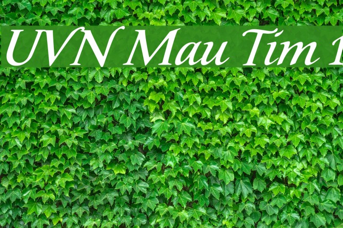 UVN Mau Tim 1 Font examples