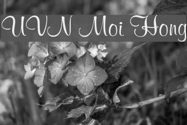 UVN Moi Hong Font examples