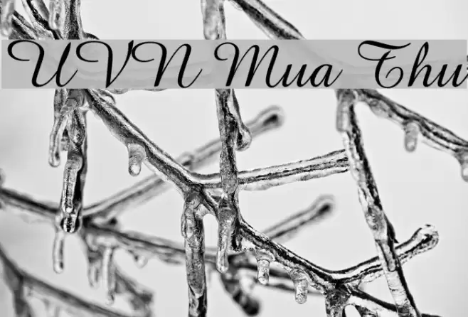 UVN Mua Thu Font examples
