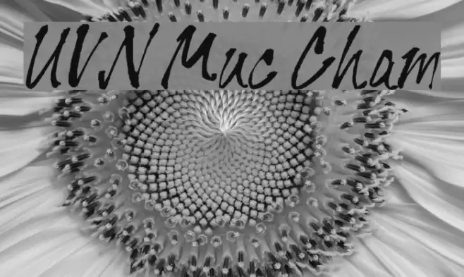 UVN Muc Cham Font examples