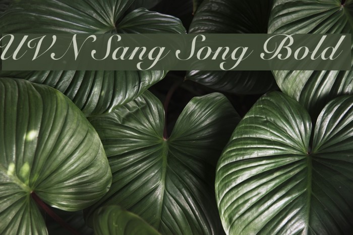 UVN Sang Song Bold Font examples