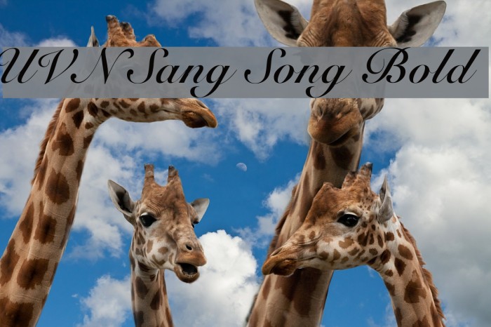 UVN Sang Song Bold Font examples