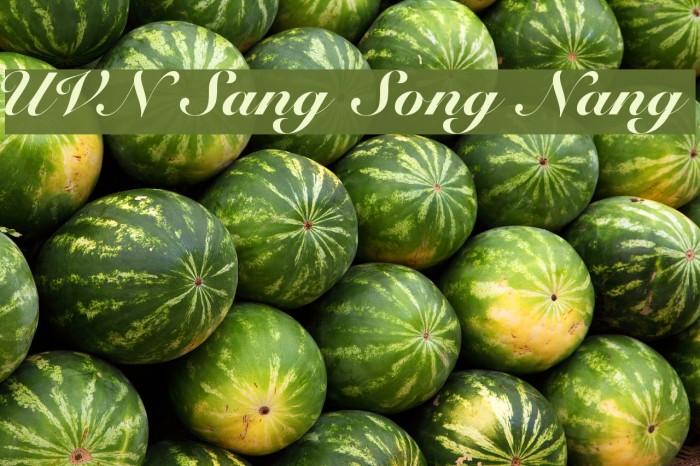 UVN Sang Song Nang Font examples