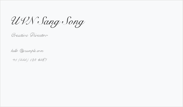 UVN Sang Song Business Card
