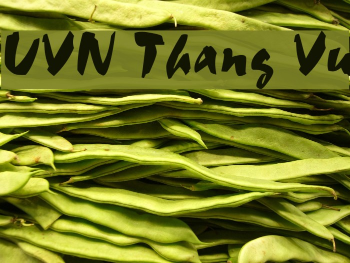 UVN Thang Vu Example 2