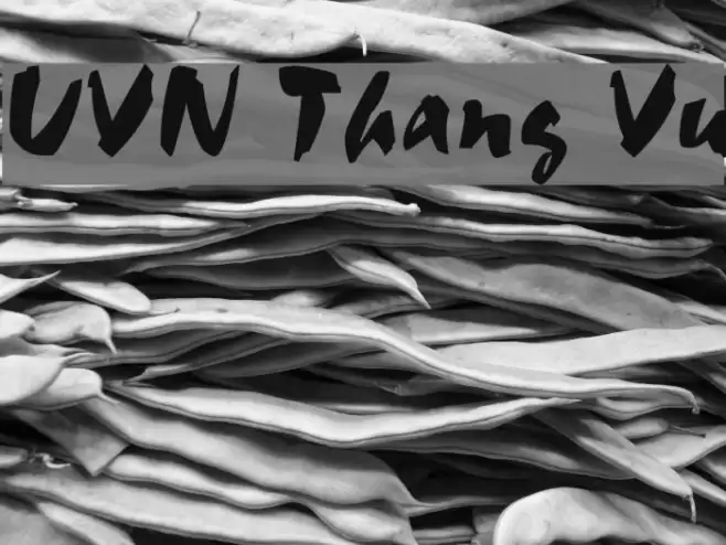 UVN Thang Vu Font examples
