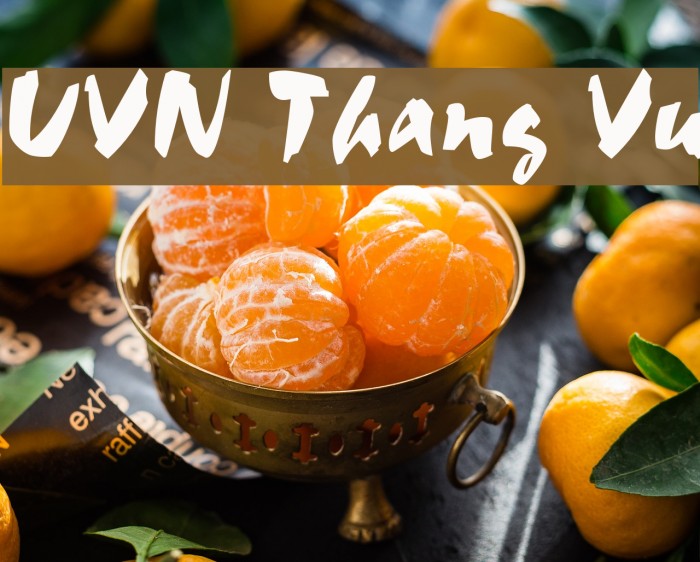 UVN Thang Vu Example 3