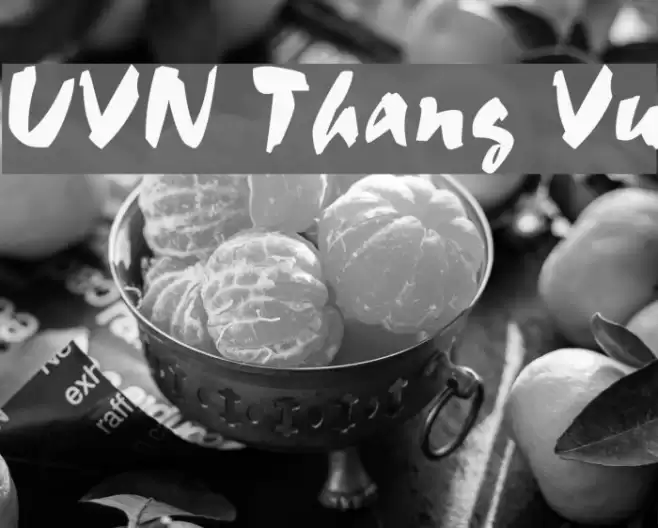 UVN Thang Vu Font examples