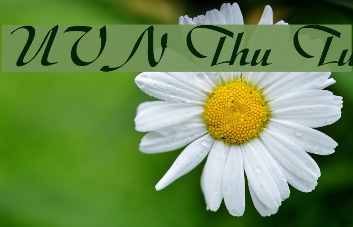 UVN Thu Tu Font examples